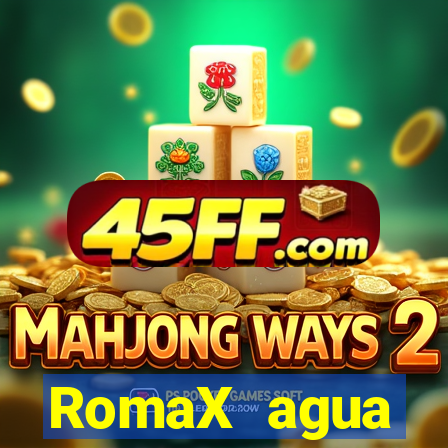 RomaX agua sanitaria fispq agua sanitaria romax